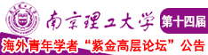 污污污让人高潮视频南京理工大学第十四届海外青年学者紫金论坛诚邀海内外英才！